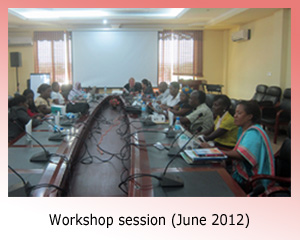 Workshop in Tanzania (June 2012)