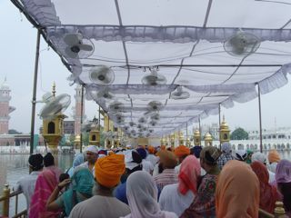 Temple canopy and bridge