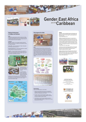 Gender Project Poster