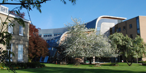 The Faculty of Education