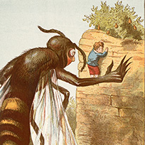 Image: A Bug's Life: Entomology and the Child Reader