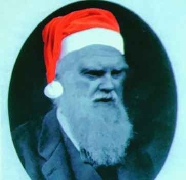 XmasDarwin