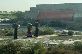 Women return from the field, Singh Province, Pakistan