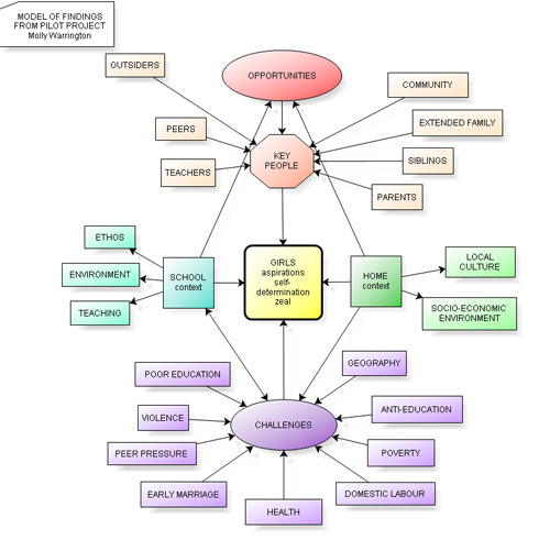 Diagram of Initial Findings