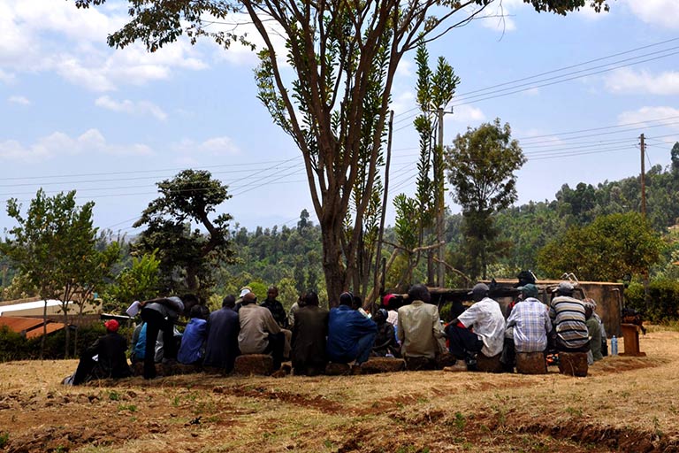 Farmers gathering under a tree
