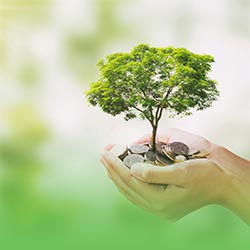 A small tree grows from coins held in a persons hands